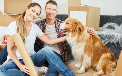 Moving with Pets: Tips for a Smooth Transition